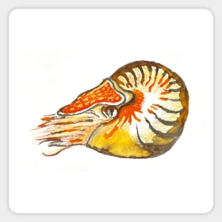 Nautilus Sticker